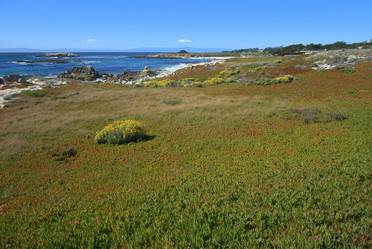 Similar image 8314599