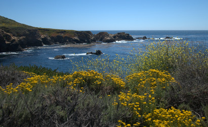 Similar image 8314606