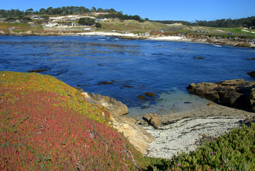 Similar image 8314611