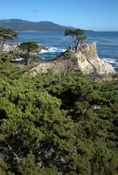 Similar image 8314622