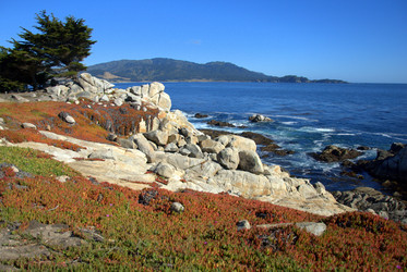 Similar image 8314623