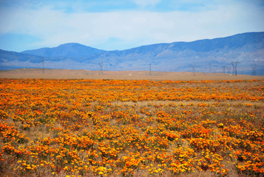 Similar image 8314629