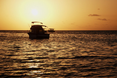 Similar image 8314633