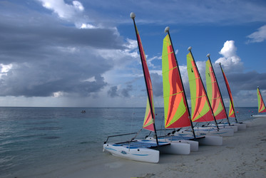 Similar image 8314636