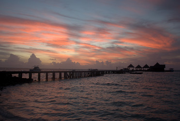 Similar image 8314639