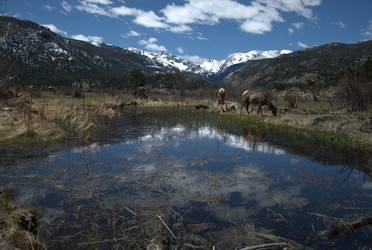 Similar image 8314646