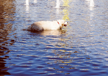 Similar image 8314666