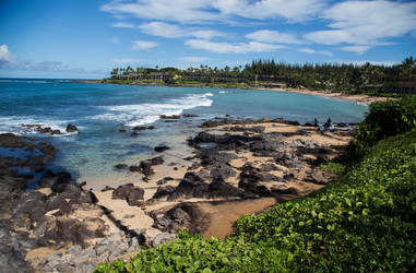 Similar image 8314673