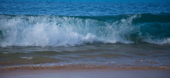 Similar image 8314681