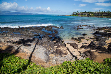 Similar image 8314703