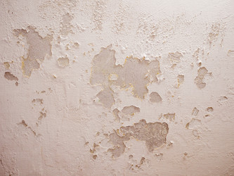 Similar image 8314712