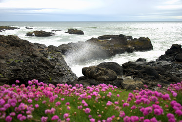 Similar image 8314715