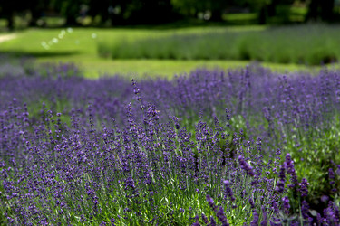 Similar image 8314729