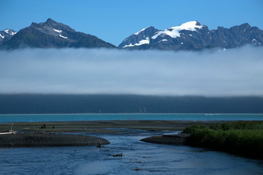 Similar image 8314736