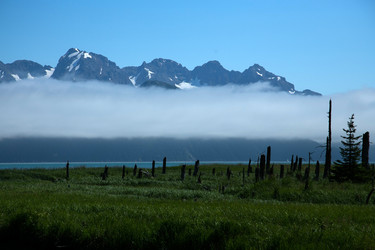 Similar image 8314737