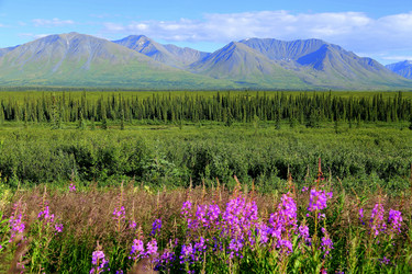 Similar image 8314743