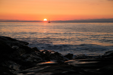 Similar image 8314767