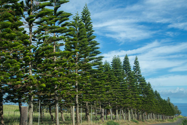 Similar image 8314770