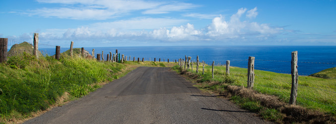 Similar image 8314771