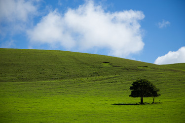 Similar image 8314773