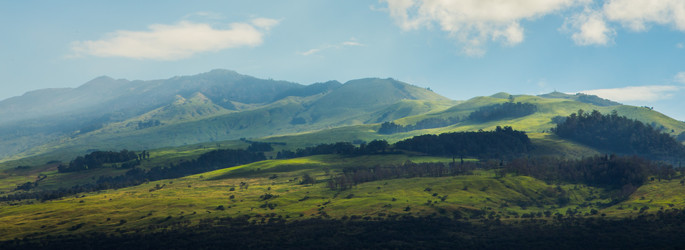 Similar image 8314779