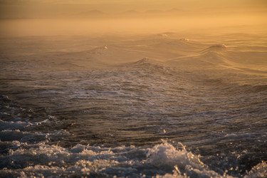 Similar image 8314780