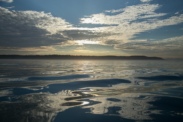 Similar image 8314781