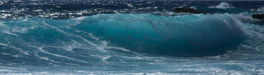 Similar image 8314786