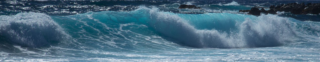 Similar image 8314787