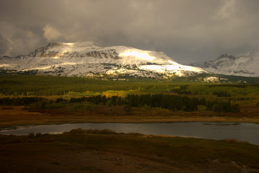 Similar image 8314788