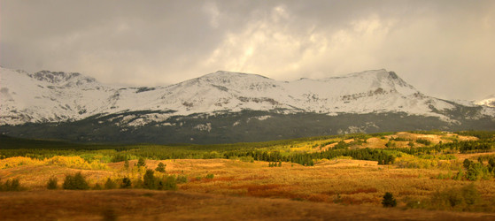 Similar image 8314789