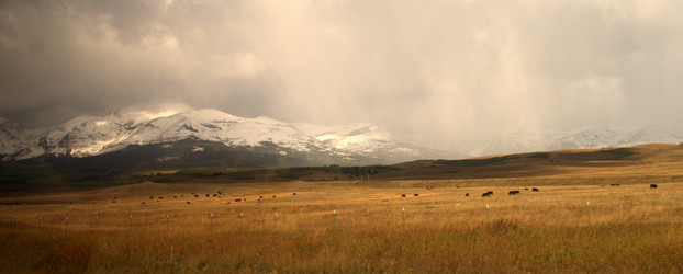 Similar image 8314790