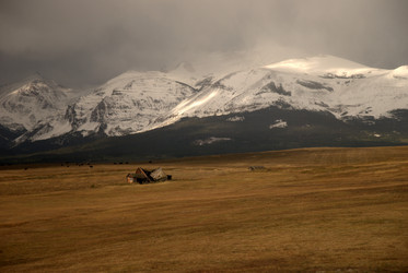 Similar image 8314791