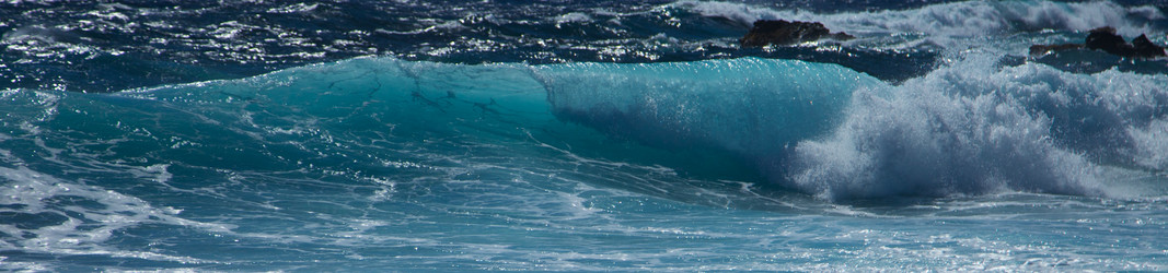 Similar image 8314798