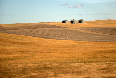 Similar image 8314806