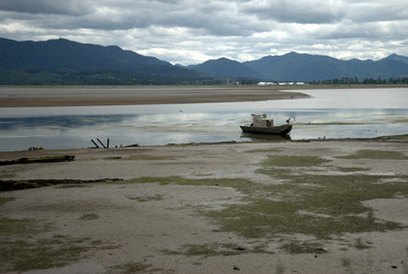 Similar image 8314832