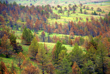 Similar image 8314840