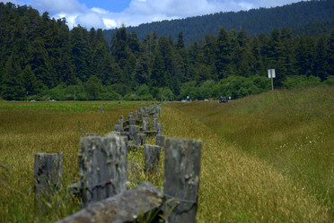 Similar image 8314878