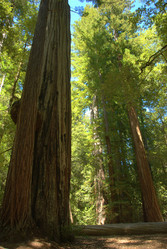 Similar image 8314879