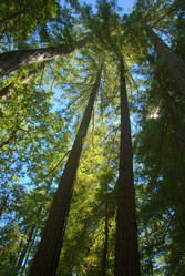 Similar image 8314880