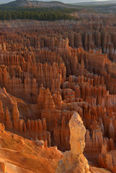 Similar image 8314886