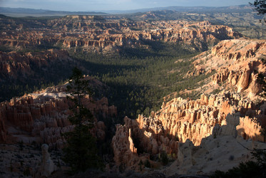 Similar image 8314901