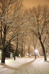 Similar image 8314912