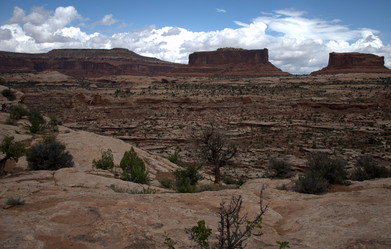 Similar image 8314916