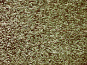 Similar image 8314939