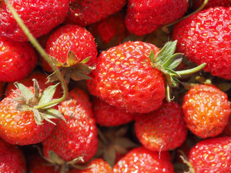 Similar image 8314984