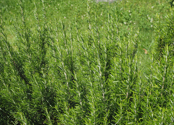 Similar image 8314988