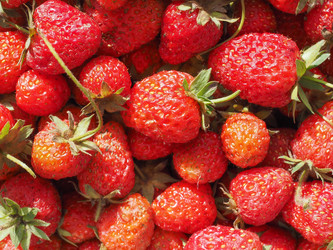 Similar image 8315009