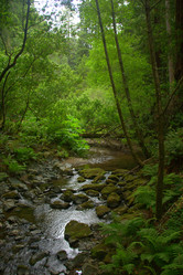 Similar image 8315209