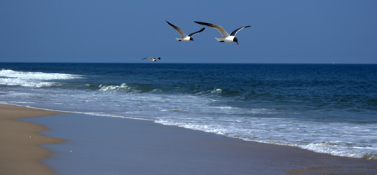 Similar image 8315210